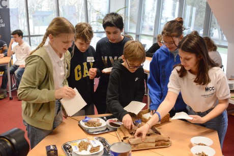 Étel vagy táplálék? - sáskák lepték el szombaton a fehérvári MCC-t